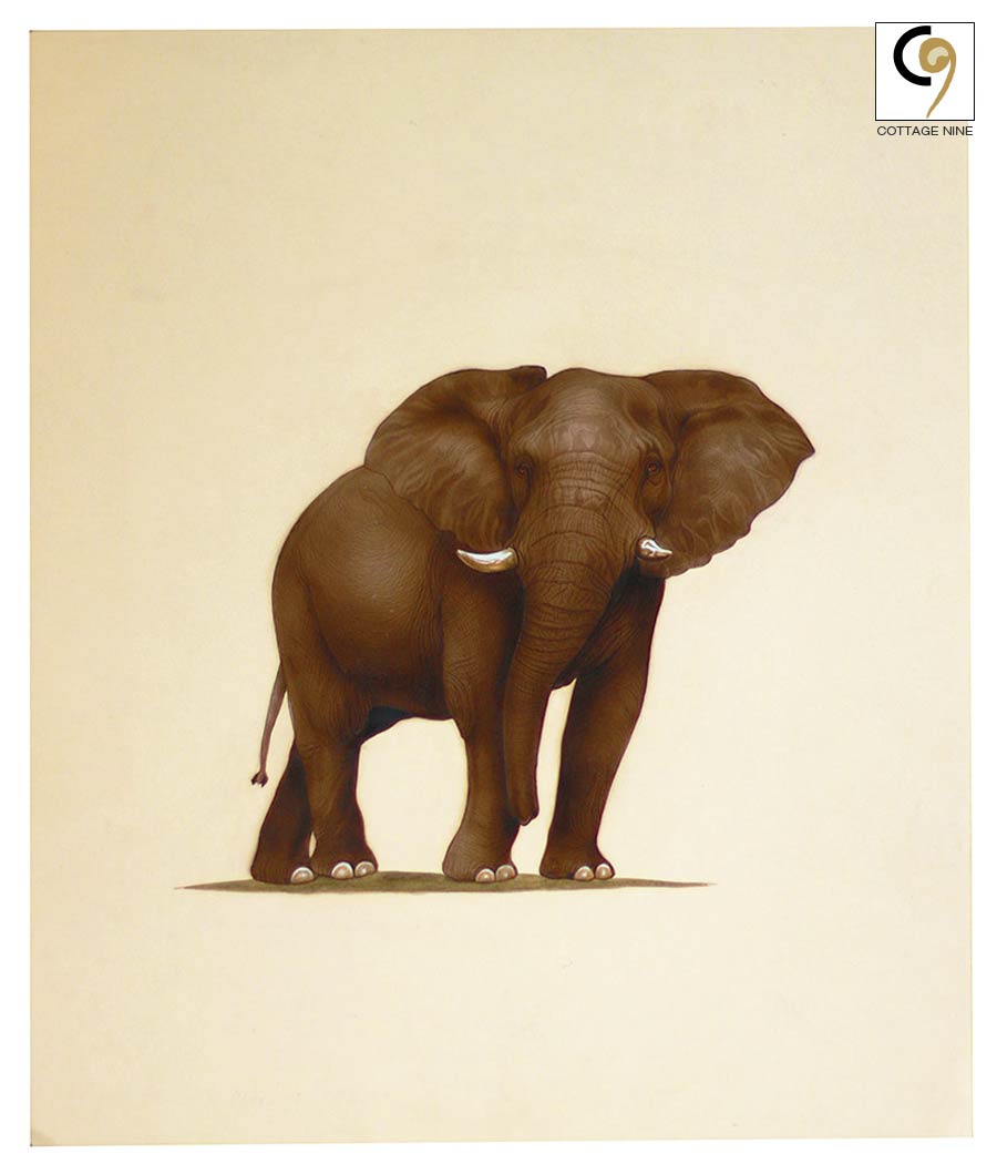 Elephant-Watercolor-Animal-Painting